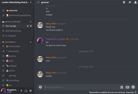 Design You A Beautiful Custom Discord Server By Ljkmc1 Fiverr