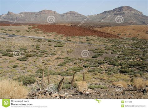 Teide Desert Stock Photo Image Of Environment Mount 25167268