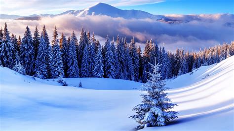 Winter Theme For Windows 10 And 11