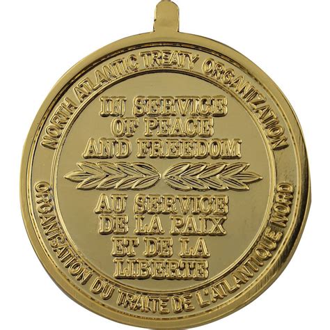 Nato Article 5 Active Endeavour Anodized Medal Usamm