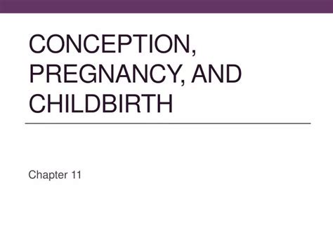 Ppt Conception Pregnancy And Childbirth Powerpoint Presentation