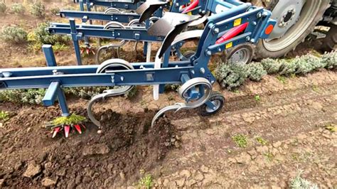 Interrow Cultivator Precise Absolute Agriculture Equipment