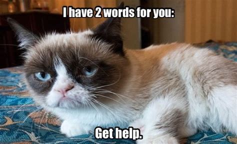 25 best memes about cat hair on everything cat hair. Grumpy Cat Good Job Meme - Grumpy Cat