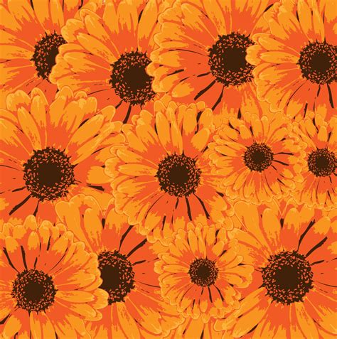 Orange Flowers Background Free Stock Photo Public Domain Pictures