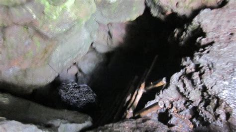 Aokigahara Forest Cave 青木ヶ原樹海風穴探索 Exploration Youtube