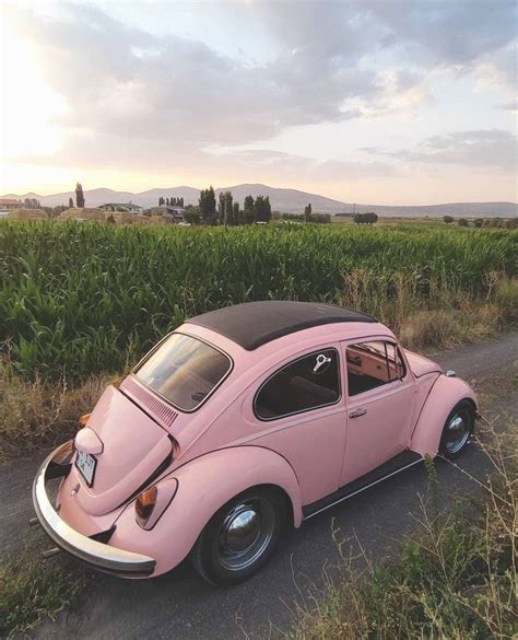 Pin By Leyla On Vosvos Volkswagen Car Pink Volkswagen Beetle Cute Cars