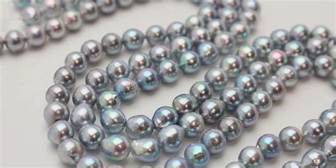 Revealing The Enigmatic Allure Of Natural Blue Akoya Pearls