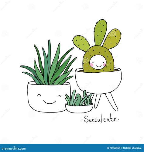 Cute Succulents And Cactus Orangery Background Cartoon Vector