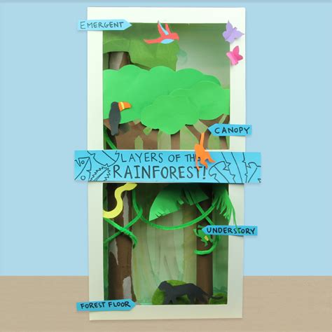 Layers Of The Rainforest Diorama Cleverpatch Cleverpatch Art My Xxx