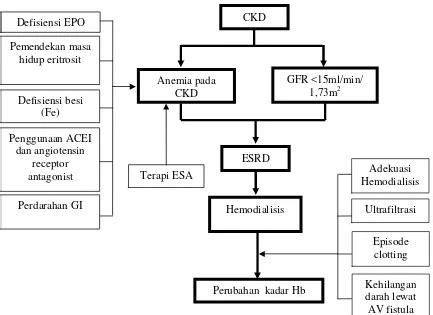 Perbedaan Kadar Hemoglobin Pre Dan Hemodialisis Pada Vrogue Co