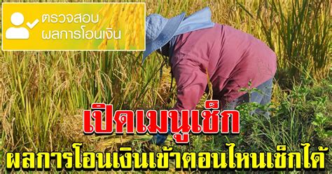 We did not find results for: เช็กตรวจสอบผลการโอนเงิน ช่วยเหลือเกษตรกร