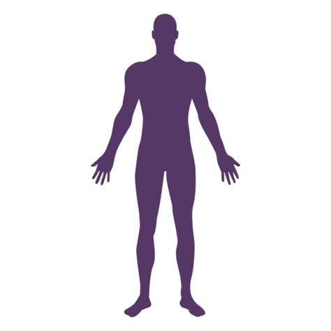 Human Body Svg Image 148 Svg File For Silhouette