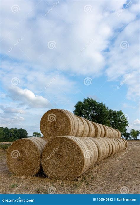 Stack Of Round Bales Of Straw On A Stubble Field Stock Photo Image Of