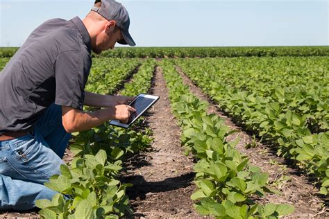 The New Reality Of Advanced Agricultural Imaging