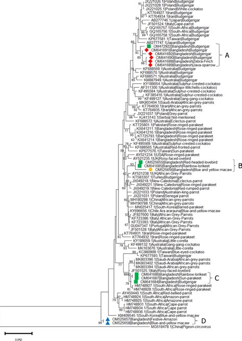 Phylogenetic Comparison Of Partial Rep Gene Sequences Of Beak And