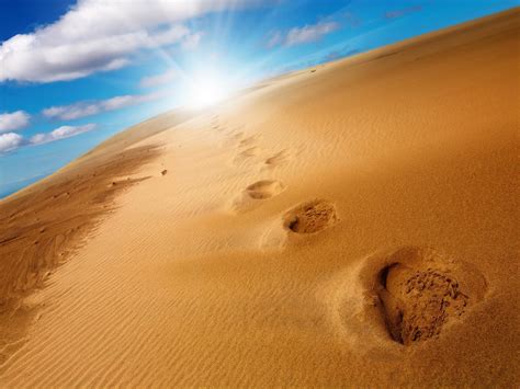 Free Footprints In The Sand Wallpapers Wallpaper Cave