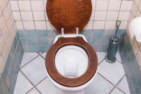 Wood Vs Plastic Toilet Seats The Pros And Cons That Matter Lockdown Loo