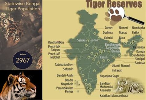 Total Tiger Reserves List In India 2024 Tamilnadu State Map