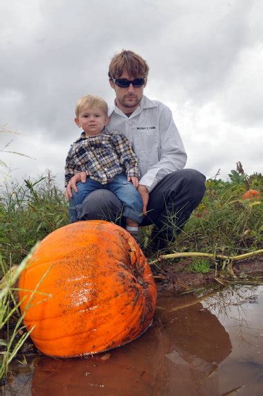 Pioneer Valley Pumpkin Growers Battered By Rain And Floods Gear Up