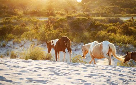 10 Best Secluded Beaches In The United States For A Vacation