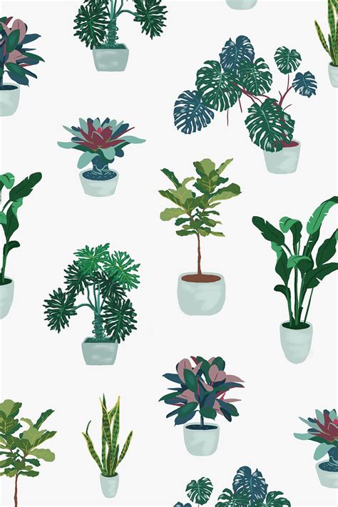 House Plant On Behance Plantspainting Plant Drawing Plant