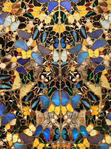 Damien Hirst Butterflies Damien Hirst Butterfly Insect Art Hirst Arts