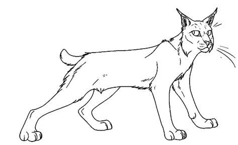 More 100 coloring pages from animal coloring pages category. Bobcat Ready To Hunt Coloring Pages : Best Place to Color