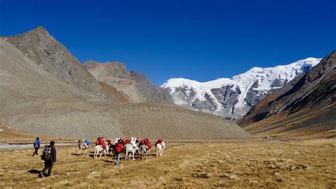 Upper Dolpo Trek