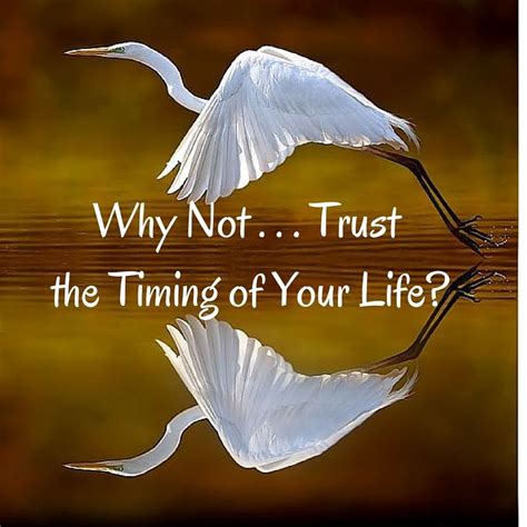 Why Not Trust The Timing Of Your Life Life Journey Quotes