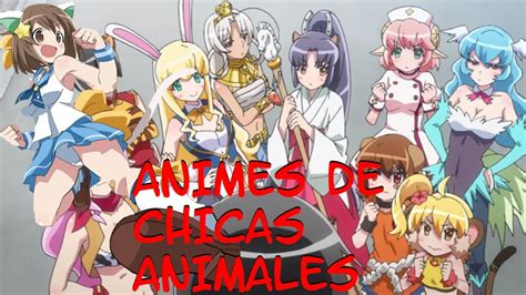 Animes Chicas Animaleslos 3 Mejores Animes De Chicas Animales Youtube