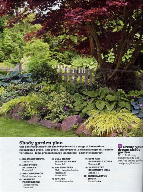 Shade Garden Ideas Zone 7 Mbi Garden Plant