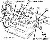 Images of Vacuum Hose Diagram Chevy 305