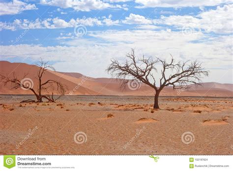 Desert Landscape Stock Photo Image Of Africa Arid 102197624