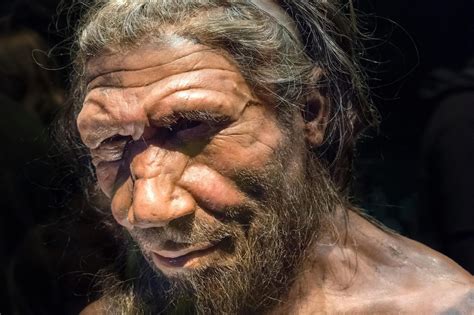 Ancient Piece Of String Reveals Neanderthals From 40000 Years Ago Were