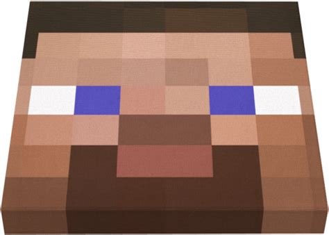 42 Minecraft Steve Face Transparent