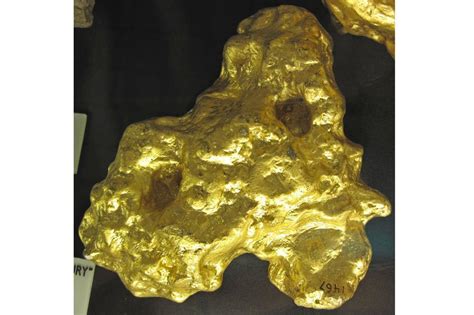 Ren Ecosystem The Largest Gold Nuggets Ever Found