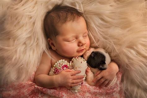 15 Adorable Photos Of Newborn Babies Posing With Animals Happiness Life