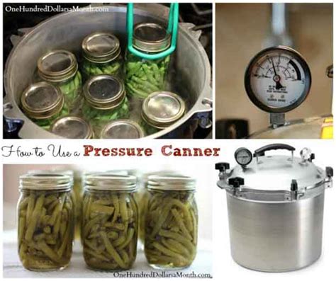 Beginners Guide To Pressure Canning The Prepared Page