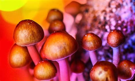 World First Trial Of Psilocybin Therapy For Anxiety Disorders To Begin