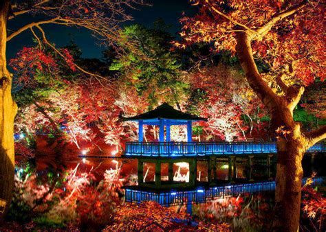 Fall In Tokyo 2020 Tokyos Top 5 Most Beautiful Night