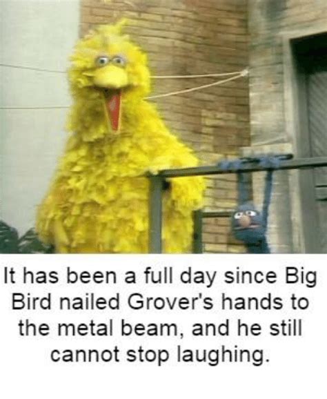 25 Best Memes About Big Bird Big Bird Memes