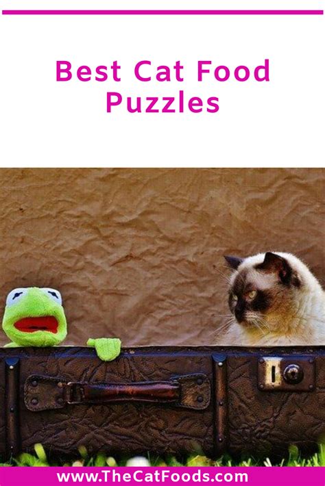 If your cat is bored or mischievous, she might need something fun to do. Best Cat Food Puzzle in 2020 | Best cat food, Cat food ...