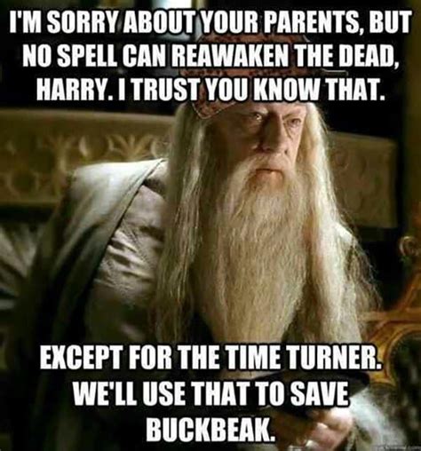 Harry Potter Hilarious Dumbledore Memes Only True Fans Will Understand