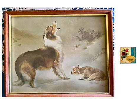 Antique Collie And Lamb Print Found By Walter Hunt Victorian Dog Print