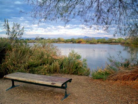 Riparian Preserve At Water Ranch In Gilbert Arizona