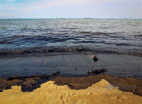 Pelajar master sistematik tumbuhan, 2008. Mysterious Contaminated Foud On Beach at Port Dickson on ...