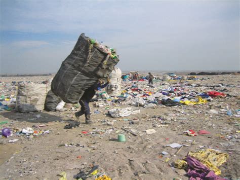 Living Off Trash In Latin America Revista