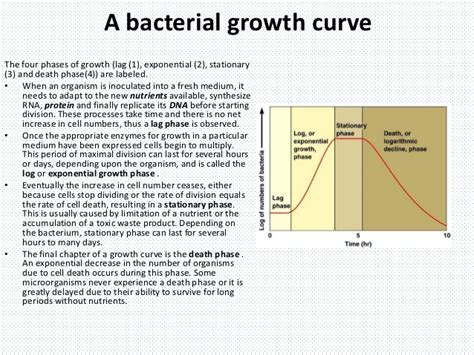 Growth Of Microbes In Batch Culture