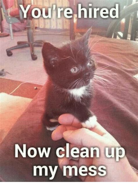 You Hired Now Clean Up My Mess Grumpy Cat Meme On Meme