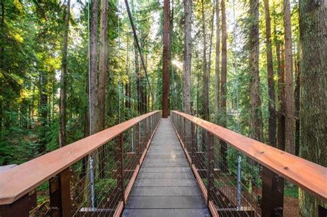 This Incredible New Skywalk In California Puts You On The Same Level As
